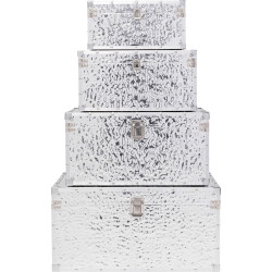 Trunk Caldera (4/Set)