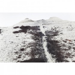 Carpet Hide Black-white Kare Design