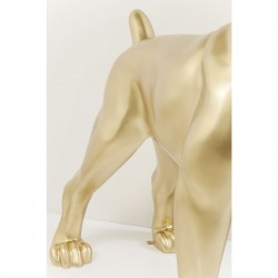 Deco Object Toto XL Gold Kare Design