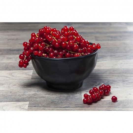 Taça Organic Preta Ø15cm Taça Organic Preta Ø15cm