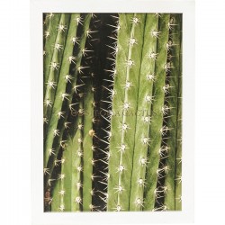 Picture Frame Cactus 45x33cm Kare Design