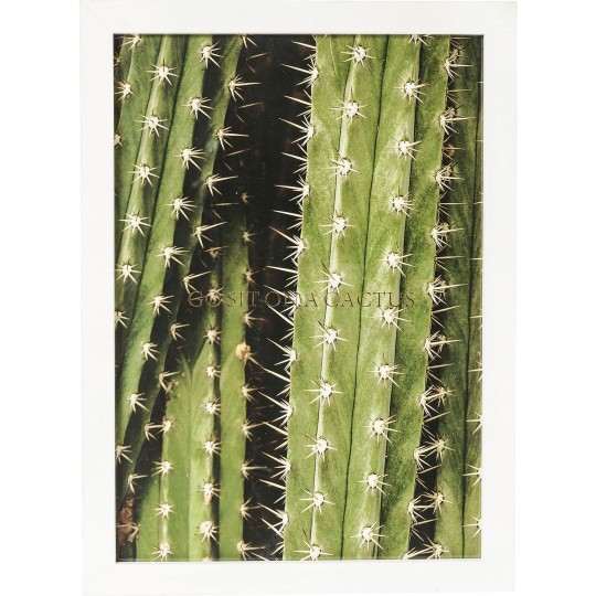 Quadro c/ moldura Cactus 45x33cm Quadro c/ moldura Cactus 45x33cm