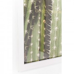 Picture Frame Cactus 45x33cm Kare Design