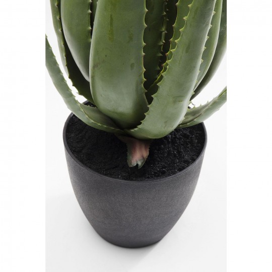 Planta decorativa Aloe 69cm