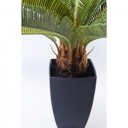 Deco Plant Cycas Tree 78cm Kare Design
