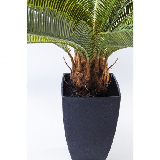 Deco Plant Cycas Tree 78cm Kare Design