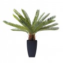 Deco Plant Cycas Tree 78cm Kare Design