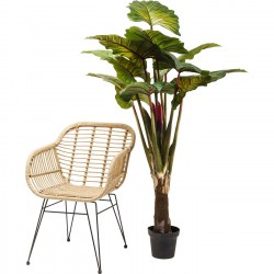 Deco Plant Rainforest Green 160cm Kare Design