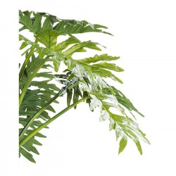 Deco Plant Big Monstera 175cm Kare Design