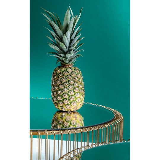 Mesa de Centro Wire Brass (conj.2) Mesa de Centro Wire Brass (conj.2)