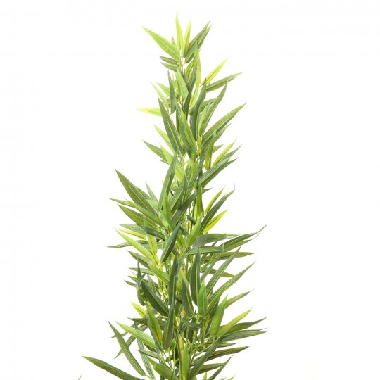 Planta decorativa Bamboo Tree 200cm