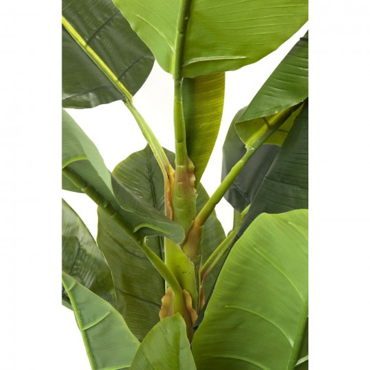 Deco Plant  Banana Tree 180cm Kare Design