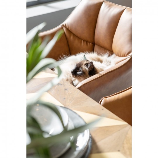 Cadeira de braços Thinktank Castanho