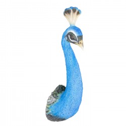 Décoration murale Peacock