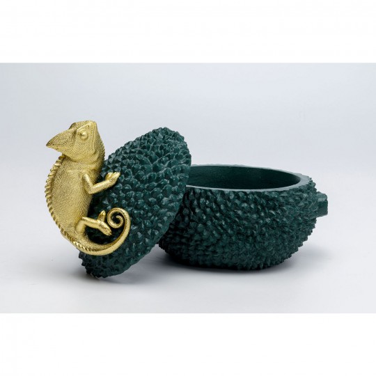 Caixa Chameleon 20cm