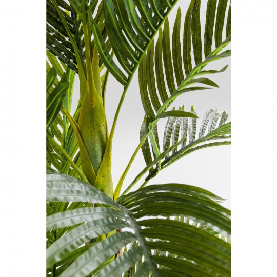Decorative plant Palm tree 190cm Kare Design
