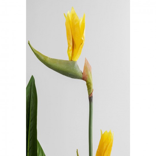 Plante décorative Paradise Flowers 190cm
