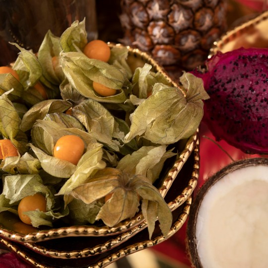 Taça Bell Gold Ø16cm