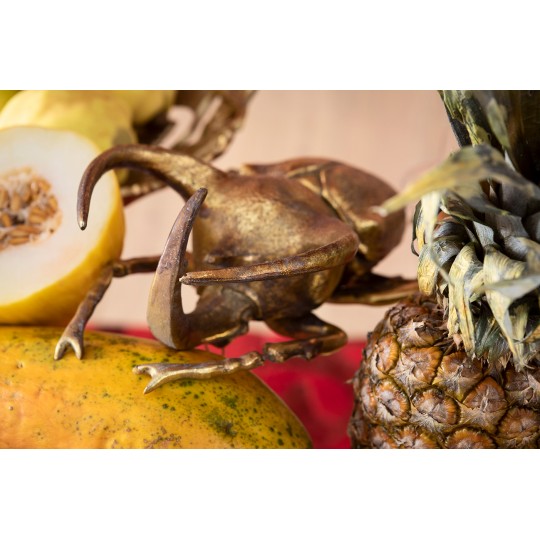 Decoração de Parede Atlas Beetle Gold