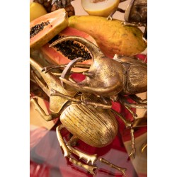 Decoração de Parede Herkules Beetle Gold-60491 (6)
