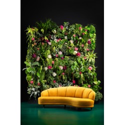 Sofá Dschinn 3 Lug. 233cm-83608 (15)