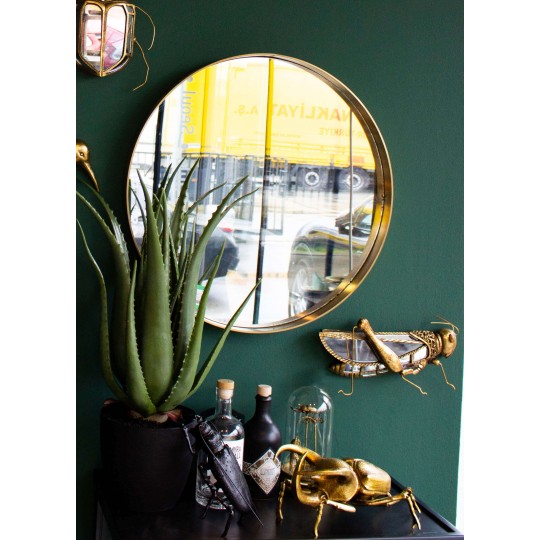 Decoração de Parede Atlas Beetle Gold