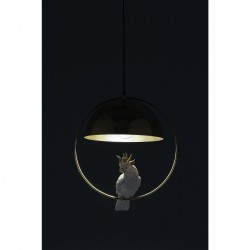 Suspension Cockatoo