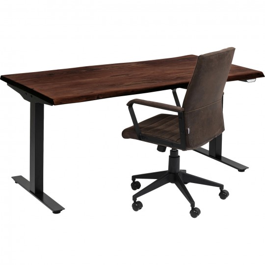 Table Office Harmony foncé 160x80
