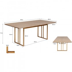 Table Cesaro 200x100cm