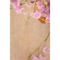 Table Cesaro 200x100cm