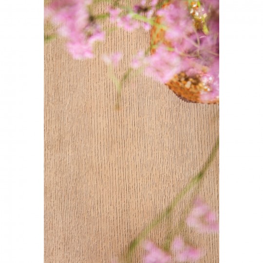 Table Cesaro 200x100cm